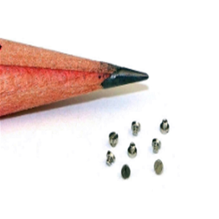 High precision m0.8(m0.6-m2 available) micro miniature screw para sa electronics