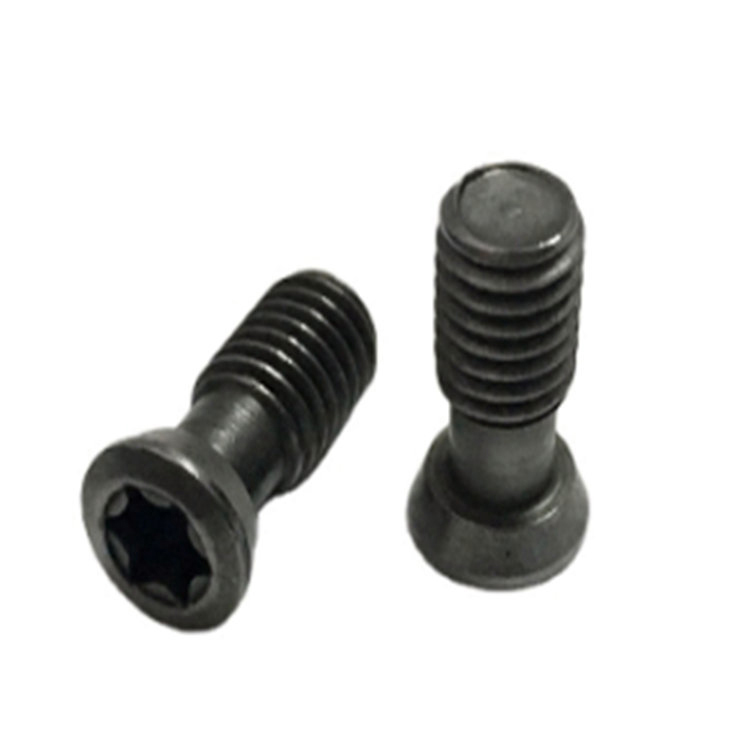 M2 M3 M4 Insert Torx Screw para sa Replace Carbide Inserts CNC Lathe