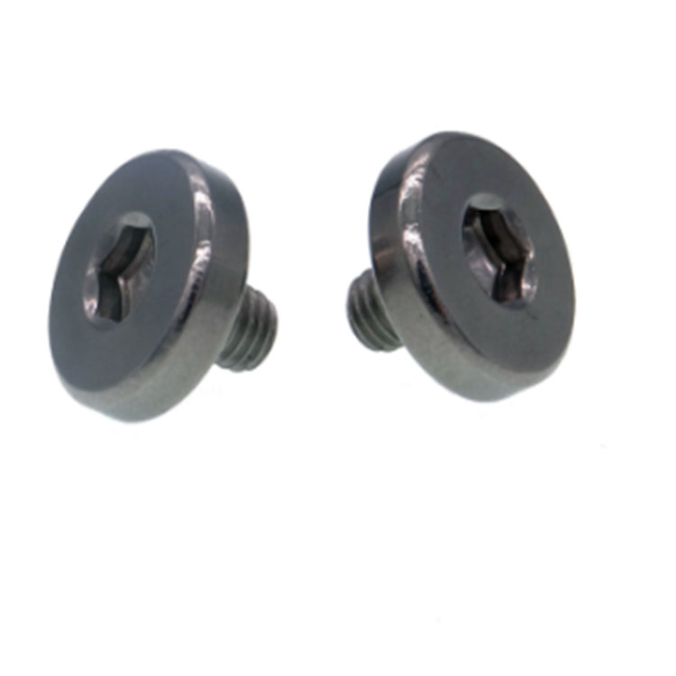 Mingze CD pattern espesyal na apple replacement machine screw