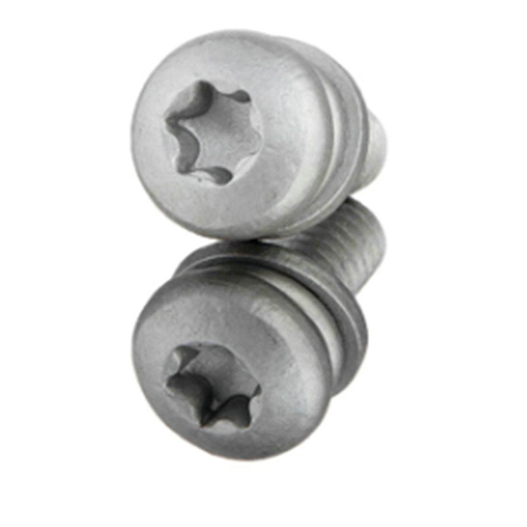 Carton steel T8 T27 round head torx driver combination screw