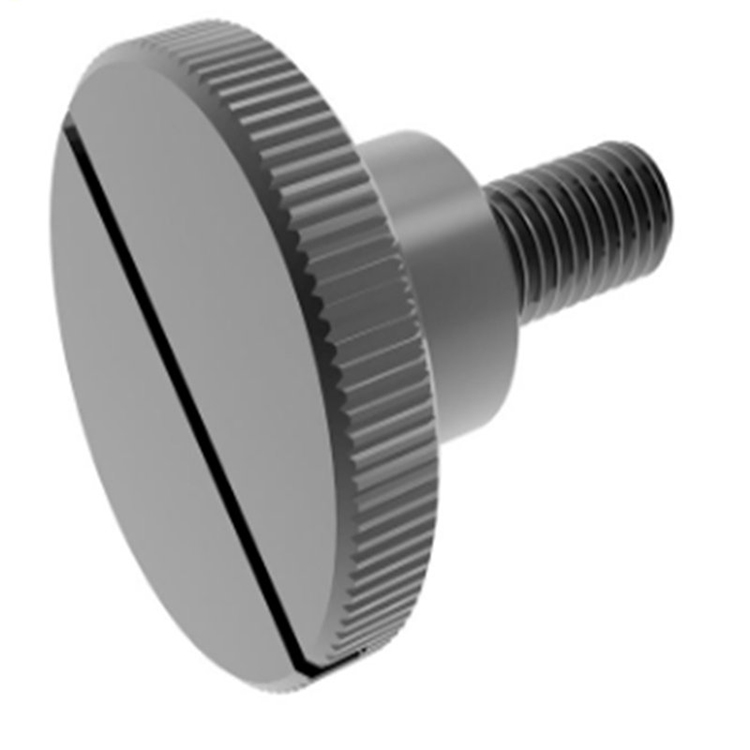 Custom na Espesyal na Maliit na Camera Laptop Flat Head Thumb Screw