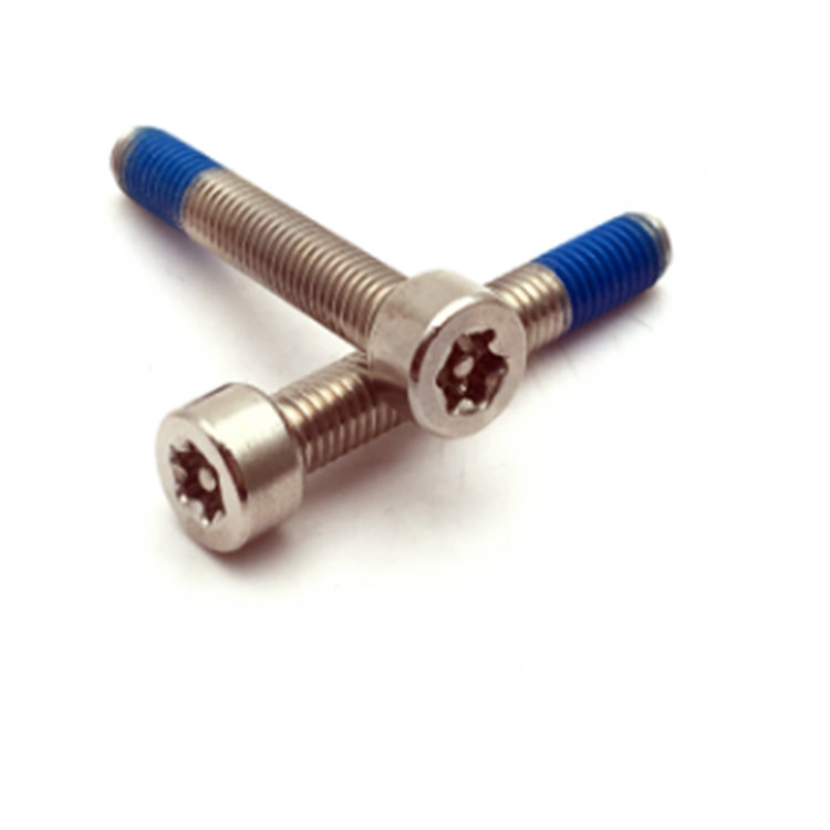 M5 ISO14579 hindi kinakalawang na asero 304 naylon coated torx fix lock bolt
