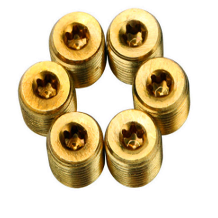 Solid brass m4 torx na may pin fixing na walang ulo na grub screw