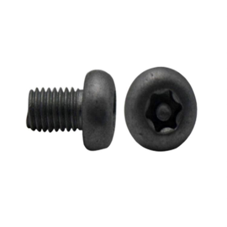 #6-32 black torx pan head security screw na may plum blossom