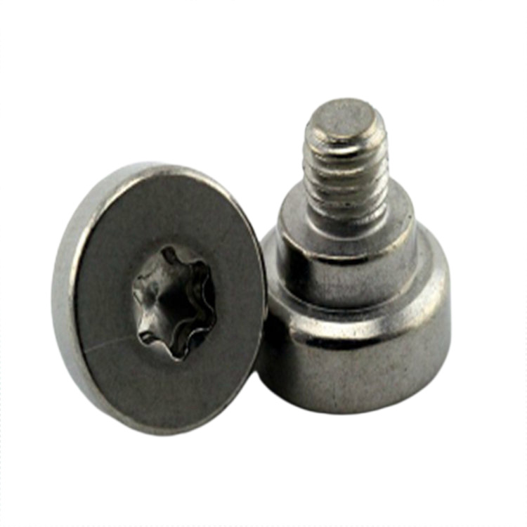 Hindi kinakalawang na asero machined espesyal na torx drive malaking ulo hakbang turnilyo