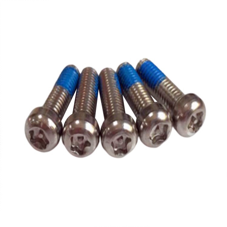 Customized na hindi kinakalawang na asero 304 round head torx locking screw