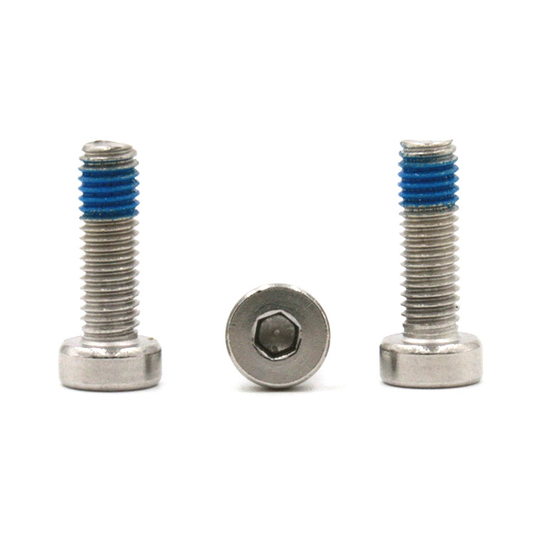 Customized na hindi kinakalawang na asero hex socket cup head locking bolt