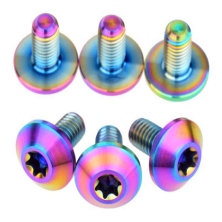 High Quality Titanium screw M5x10 GR5 TC4 Ti-6al-4v para sa bisikleta