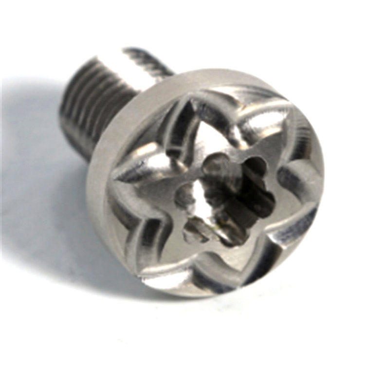 Hindi kinakalawang na asero na hindi karaniwang naka-customize na torx screw