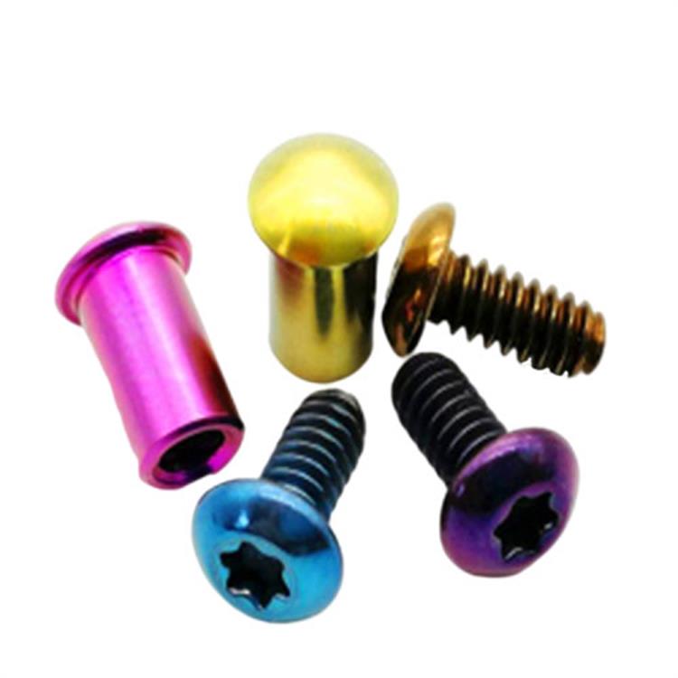Titanium alloy chicago screw