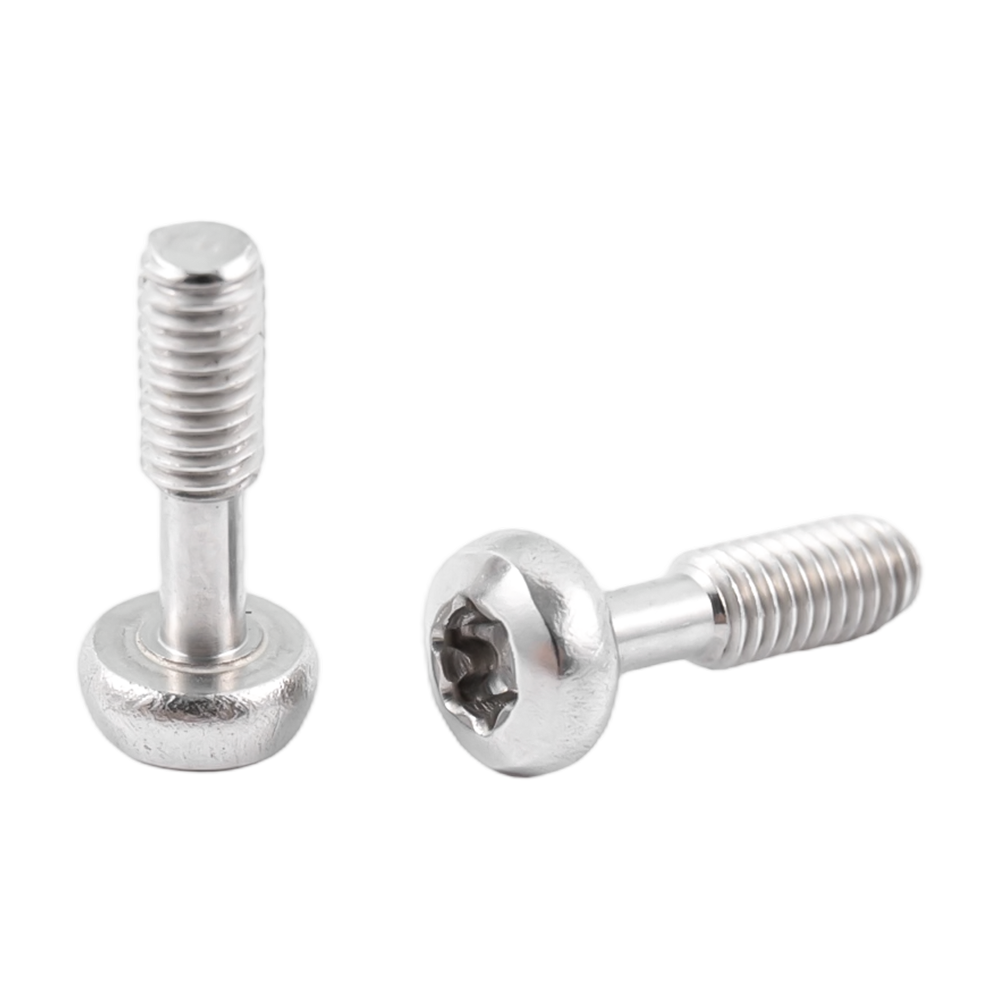 Hindi kinakalawang na asero pindutan ng ulo torx captive turnilyo