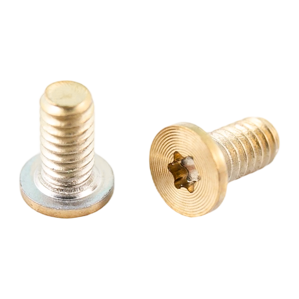 Gold PVD torx head stainless steel machine thread CD pattern screws Gold PVD torx head stainless steel machine thread CD pattern screws