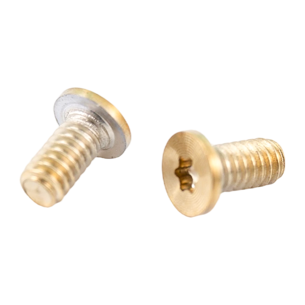 Gold PVD torx head stainless steel machine thread CD pattern screws Gold PVD torx head stainless steel machine thread CD pattern screws