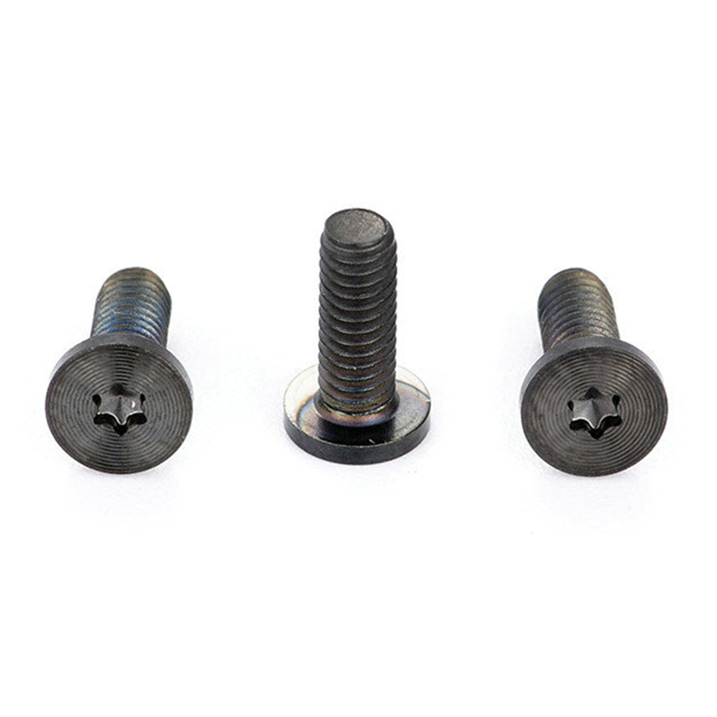Makintab na itim na manipis na flat head torx satin brushed screw para sa Huawei Makintab na itim na manipis na flat head torx satin brushed screw para sa Huawei