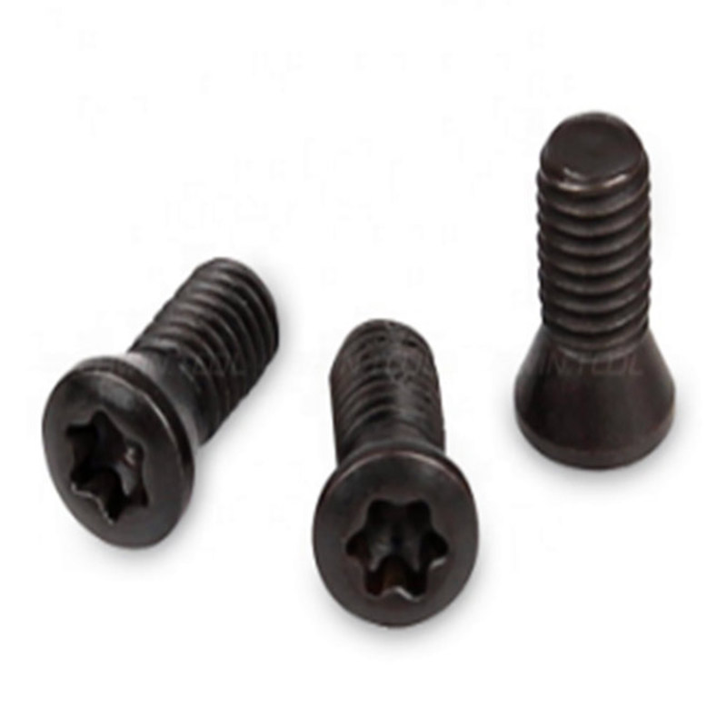 M2 Torx Screw para sa Pagpapalit ng Carbide Insert CNC Lathe Tool