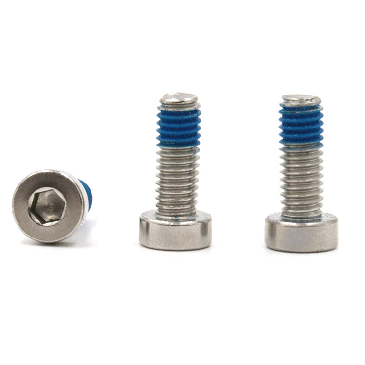Hindi kinakalawang na asero 18-8 hex socket low cup head mini micro locking screw